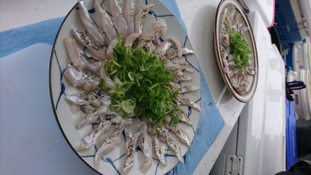 武士(SAMURAI) 釣果