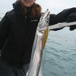 武士(SAMURAI) 釣果