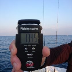 フィッシングボートACE(エース) 釣果