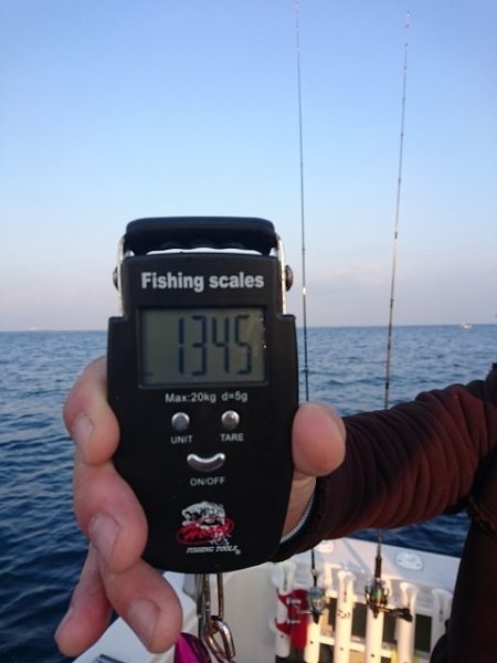 フィッシングボートACE(エース) 釣果