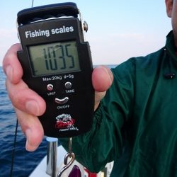 フィッシングボートACE(エース) 釣果