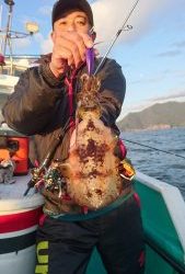 愛海丸 釣果