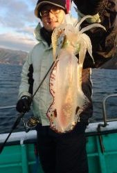愛海丸 釣果