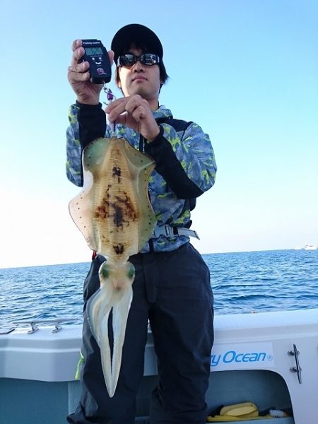 フィッシングボートACE(エース) 釣果