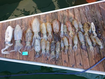 フィッシングボートACE(エース) 釣果