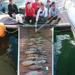 フィッシングボートACE(エース) 釣果