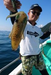 愛海丸 釣果
