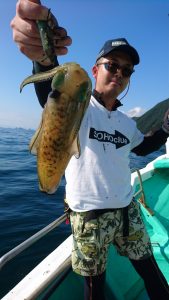 愛海丸 釣果