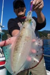 愛海丸 釣果