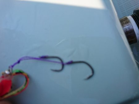 フィッシングボートACE(エース) 釣果