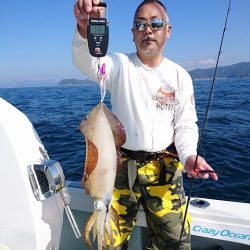 フィッシングボートACE(エース) 釣果