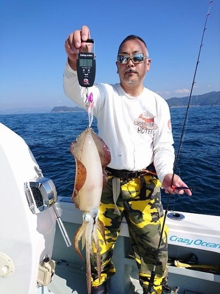 フィッシングボートACE(エース) 釣果