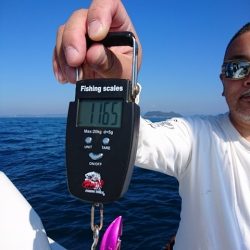 フィッシングボートACE(エース) 釣果