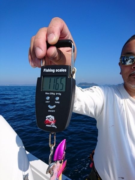 フィッシングボートACE(エース) 釣果