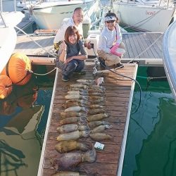 フィッシングボートACE(エース) 釣果