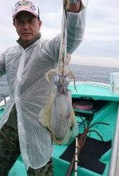 愛海丸 釣果