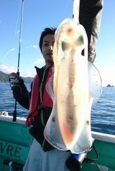 愛海丸 釣果