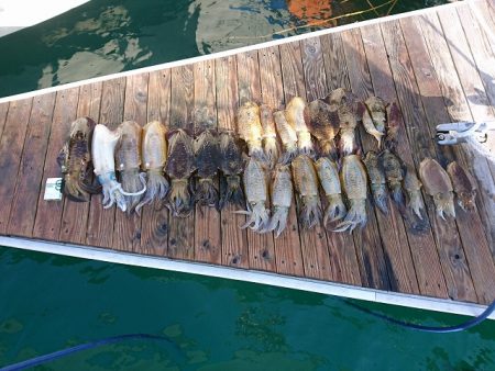 フィッシングボートACE(エース) 釣果