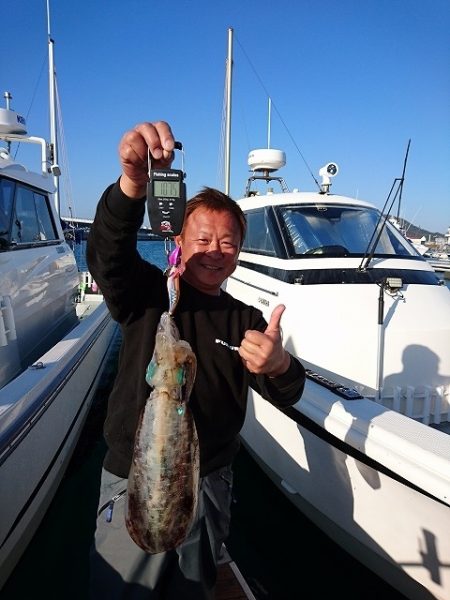 フィッシングボートACE(エース) 釣果