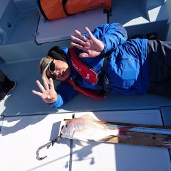 フィッシングボートACE(エース) 釣果