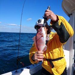 フィッシングボートACE(エース) 釣果