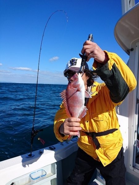 フィッシングボートACE(エース) 釣果