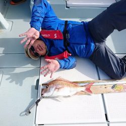 フィッシングボートACE(エース) 釣果