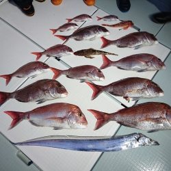 フィッシングボートACE(エース) 釣果