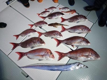 フィッシングボートACE(エース) 釣果