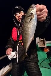 愛海丸 釣果