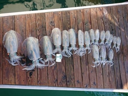 フィッシングボートACE（エース） 釣果