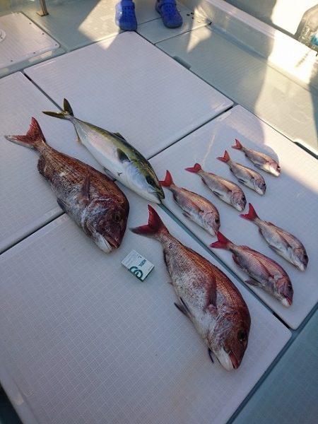 フィッシングボートACE（エース） 釣果