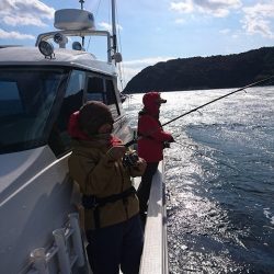 フィッシングボートACE(エース) 釣果