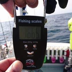 フィッシングボートACE(エース) 釣果