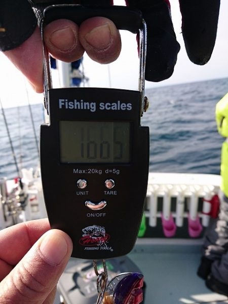 フィッシングボートACE(エース) 釣果