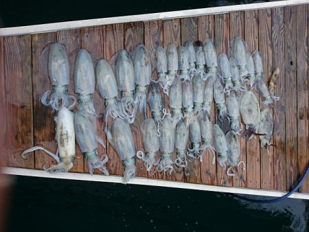 フィッシングボートACE(エース) 釣果