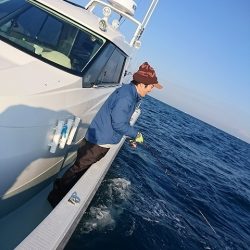 フィッシングボートACE(エース) 釣果
