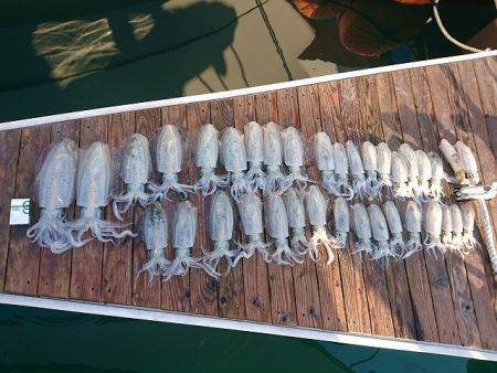 フィッシングボートACE(エース) 釣果