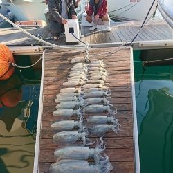 フィッシングボートACE(エース) 釣果