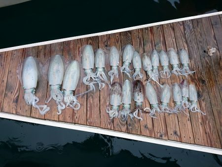 フィッシングボートACE(エース) 釣果