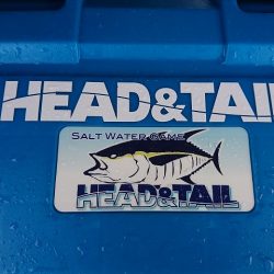 フィッシングボートACE(エース) 釣果