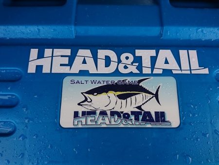 フィッシングボートACE(エース) 釣果