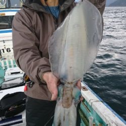 シードリーム 釣果