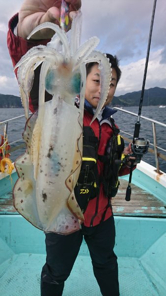 シードリーム 釣果