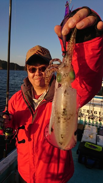 シードリーム 釣果