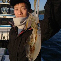 シードリーム 釣果