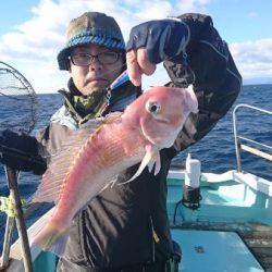 シードリーム 釣果