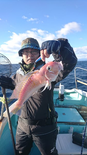 シードリーム 釣果