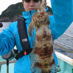 シードリーム 釣果