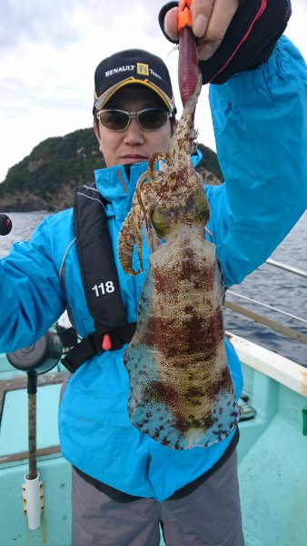 シードリーム 釣果